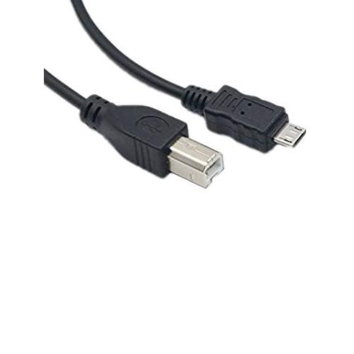Cavo stampante USB da 3 metri - Cavo USB per stampante - Cavo USB 2.0 Tipo  A a Tipo B- Compatibile con qualsiasi stampante, scanner, multifunzione 